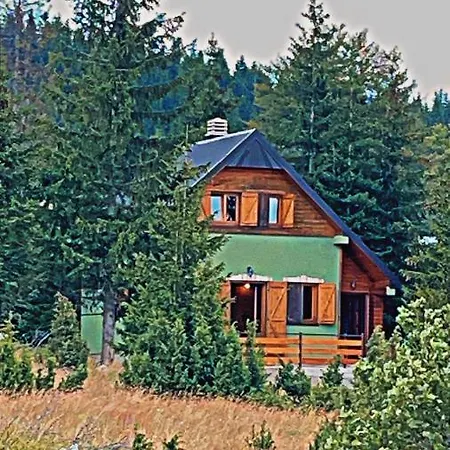 Villa Dandelion Zabljak  Exterior photo