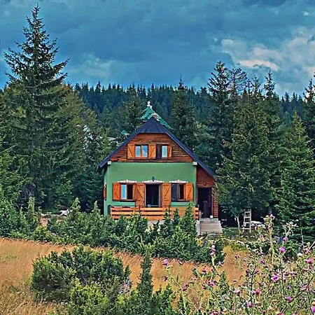 Villa Dandelion Zabljak  Exterior photo