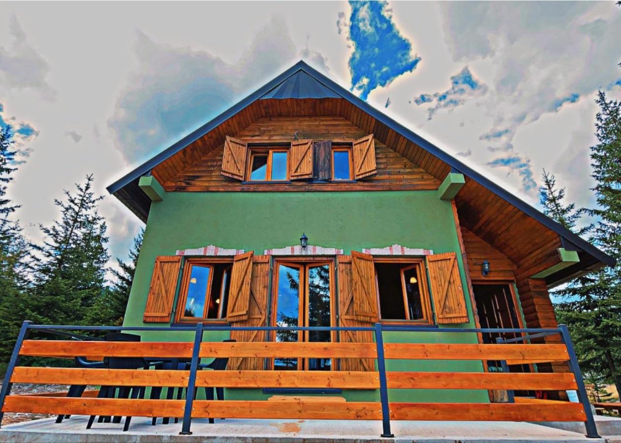 Dandelion Villa