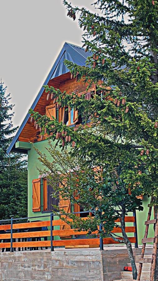 Villa Dandelion
