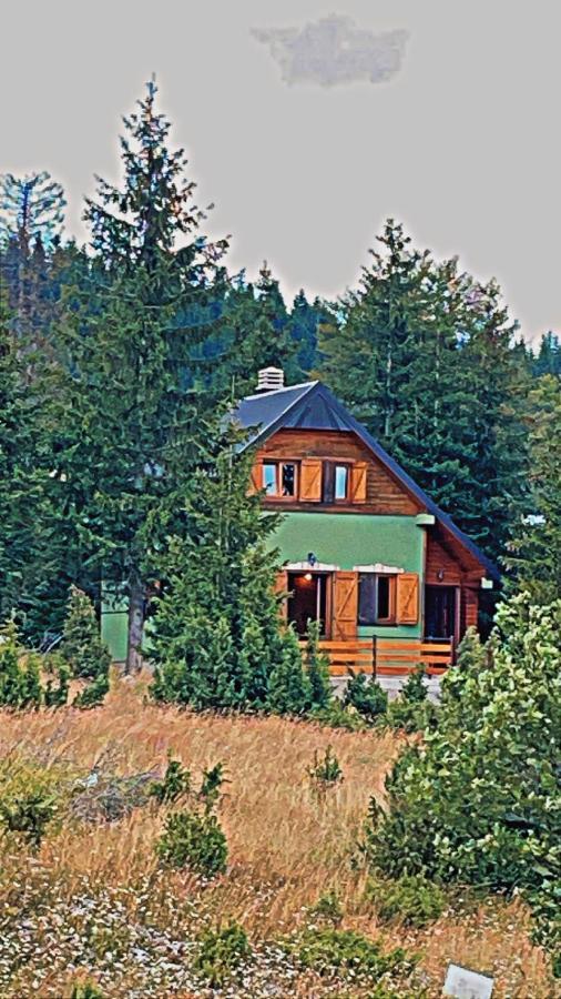 Dandelion Zabljak (Zabljak)