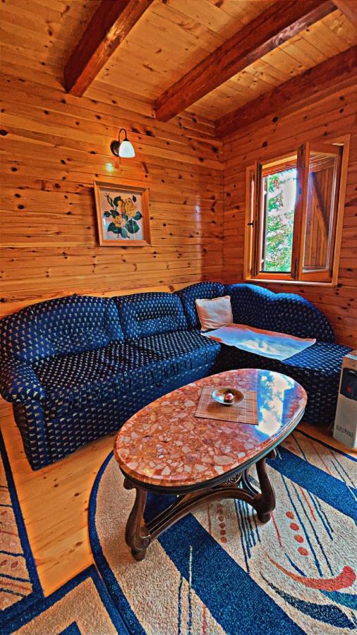 Dandelion Villa