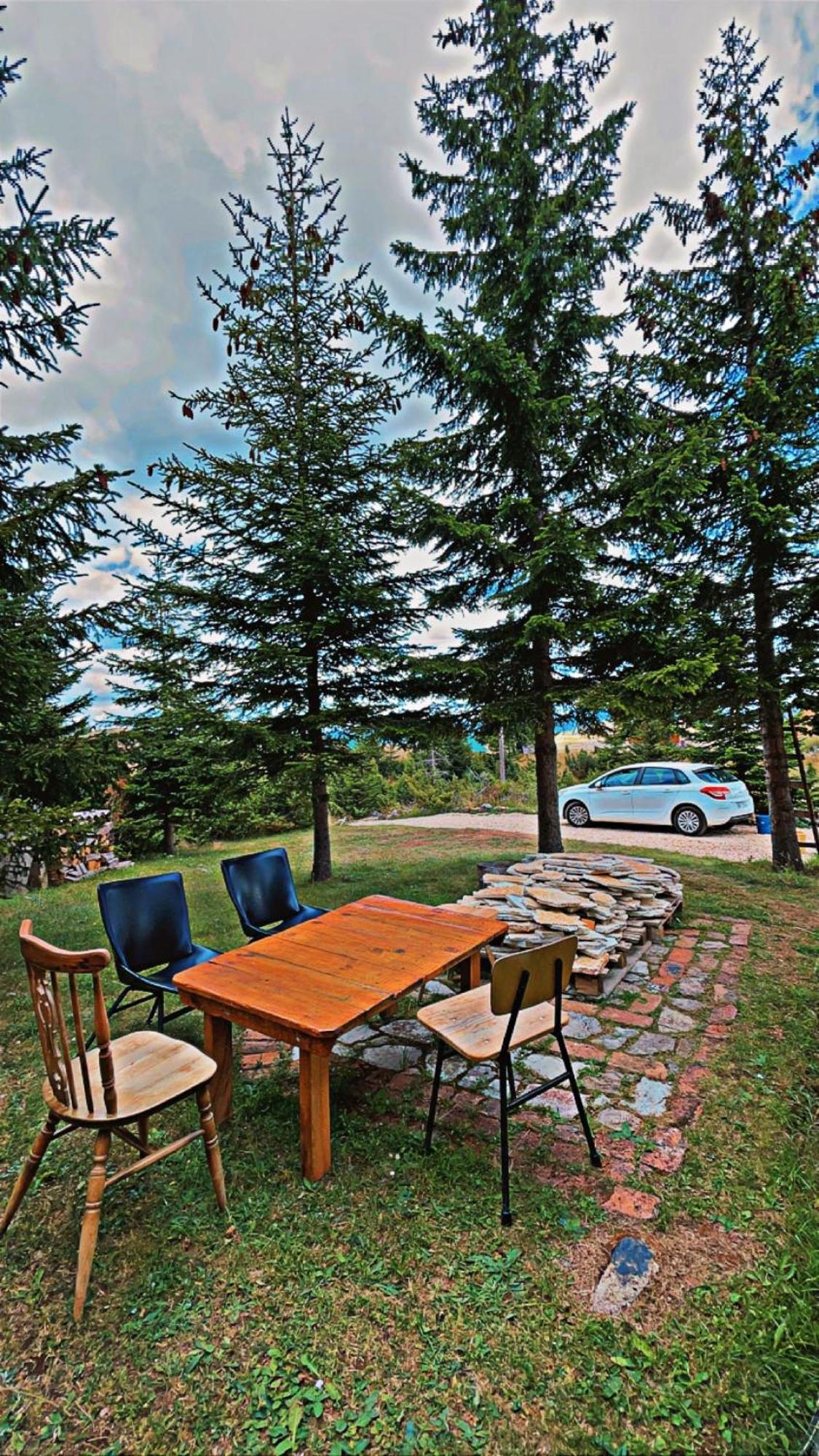 Dandelion Zabljak (Zabljak)