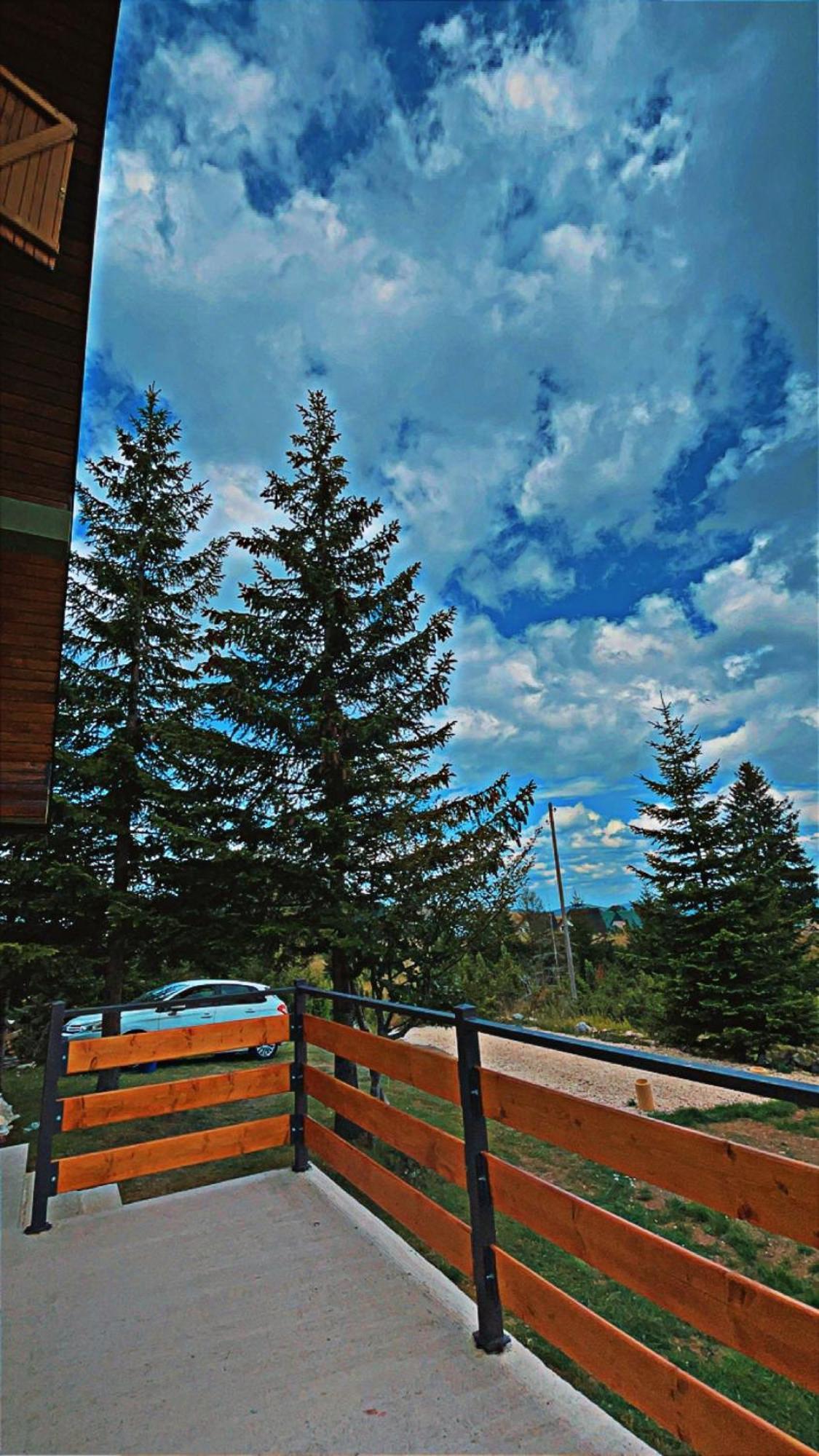 Dandelion Villa